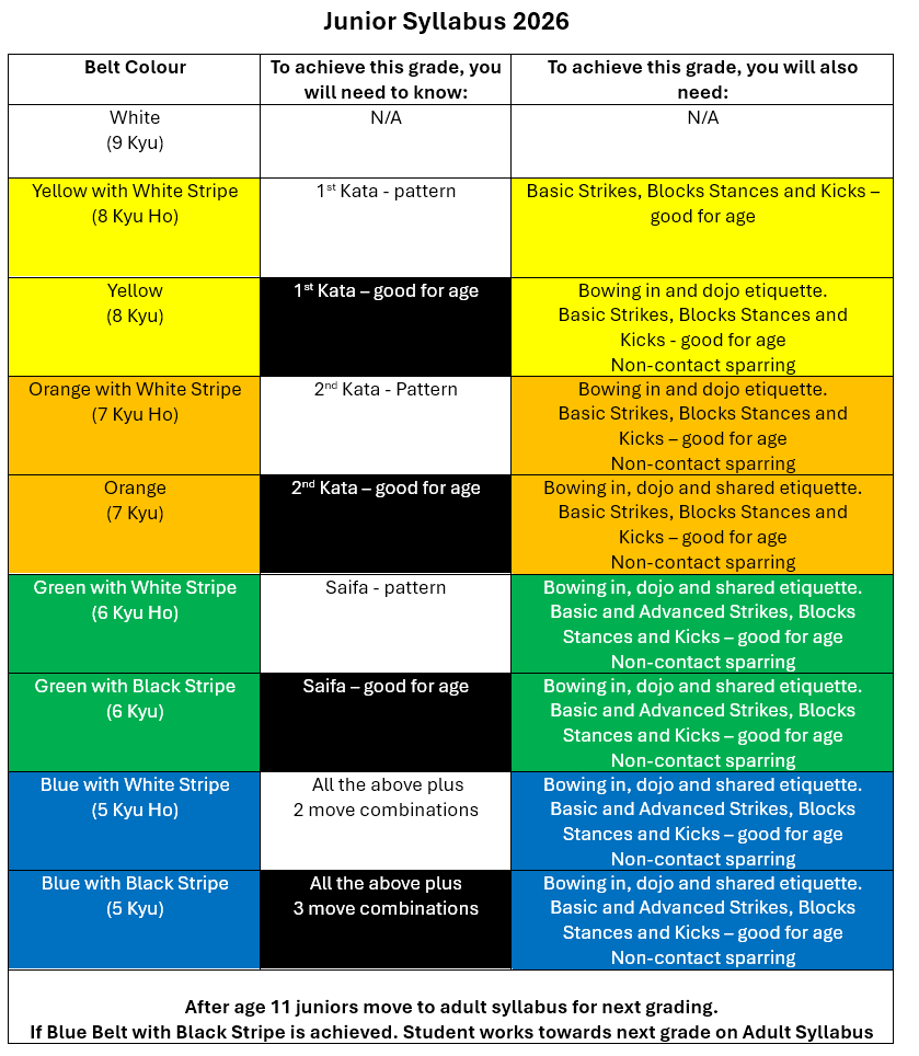 Junior Grading Syllabus with Ho
